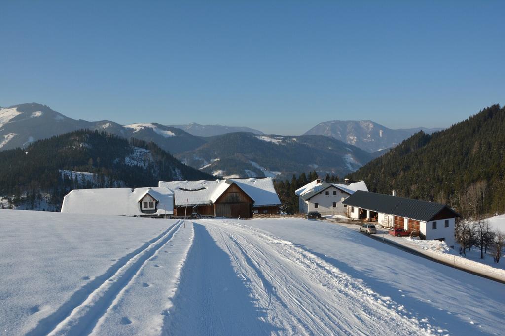 Klein Schöntal Göstling an der Ybbs Exterior foto